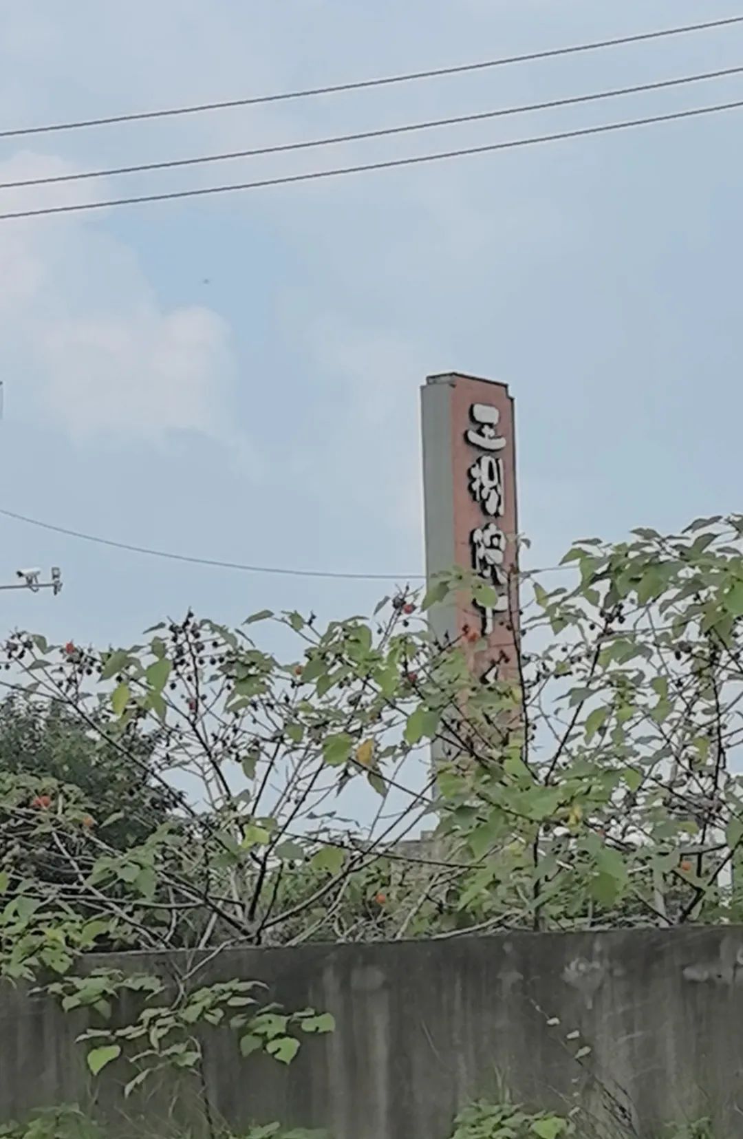 DƬ